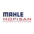 Mahle Mopisan Yed. Parç. San. Tic. A.Ş